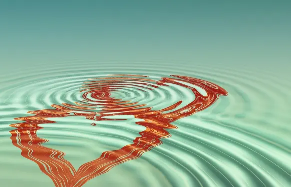 РЕКС Казино Поддръжка